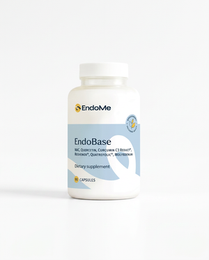 EndoBase — Daily Foundation