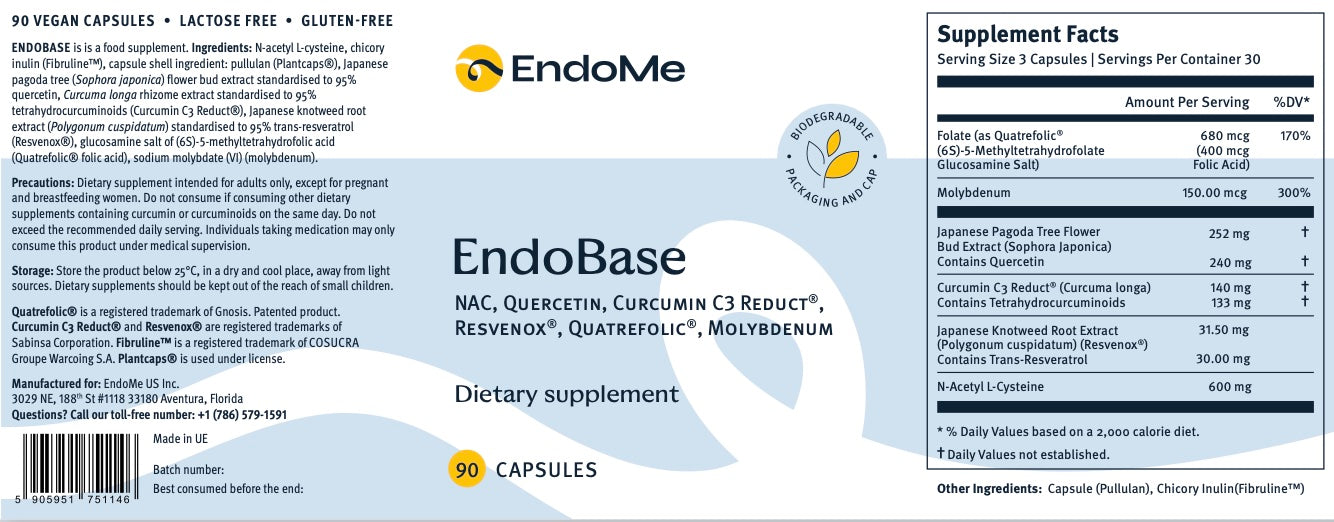 EndoBase — Daily Foundation